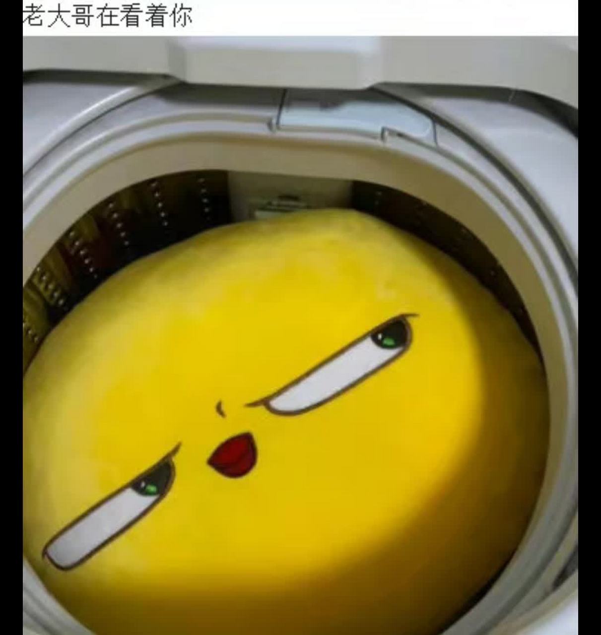 有时候打开洗衣机就像打开盲盒?#趣图搞笑