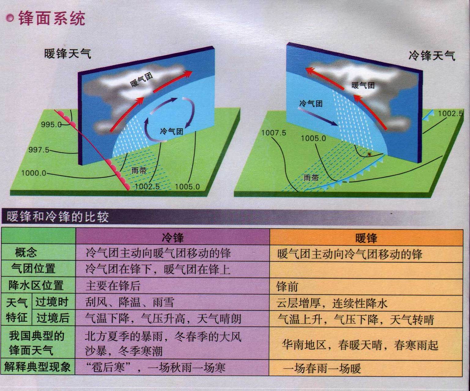 强哥讲地理 分不清冷锋和暖锋的同学看这张锋面系统示意图,要区分