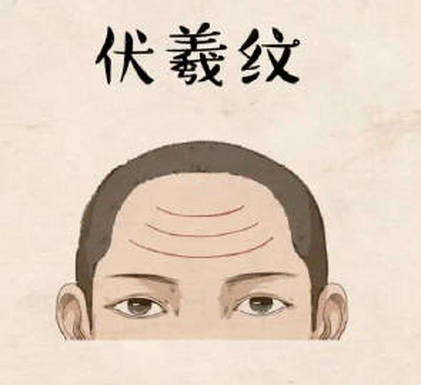 伏羲纹:  伏羲纹是指额头有三条纹路齐头并进,从上到下分为"天纹","人