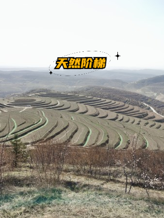 金鸡坪梯田:天然阶梯,展现人与自然和谐共舞的壮丽景象!