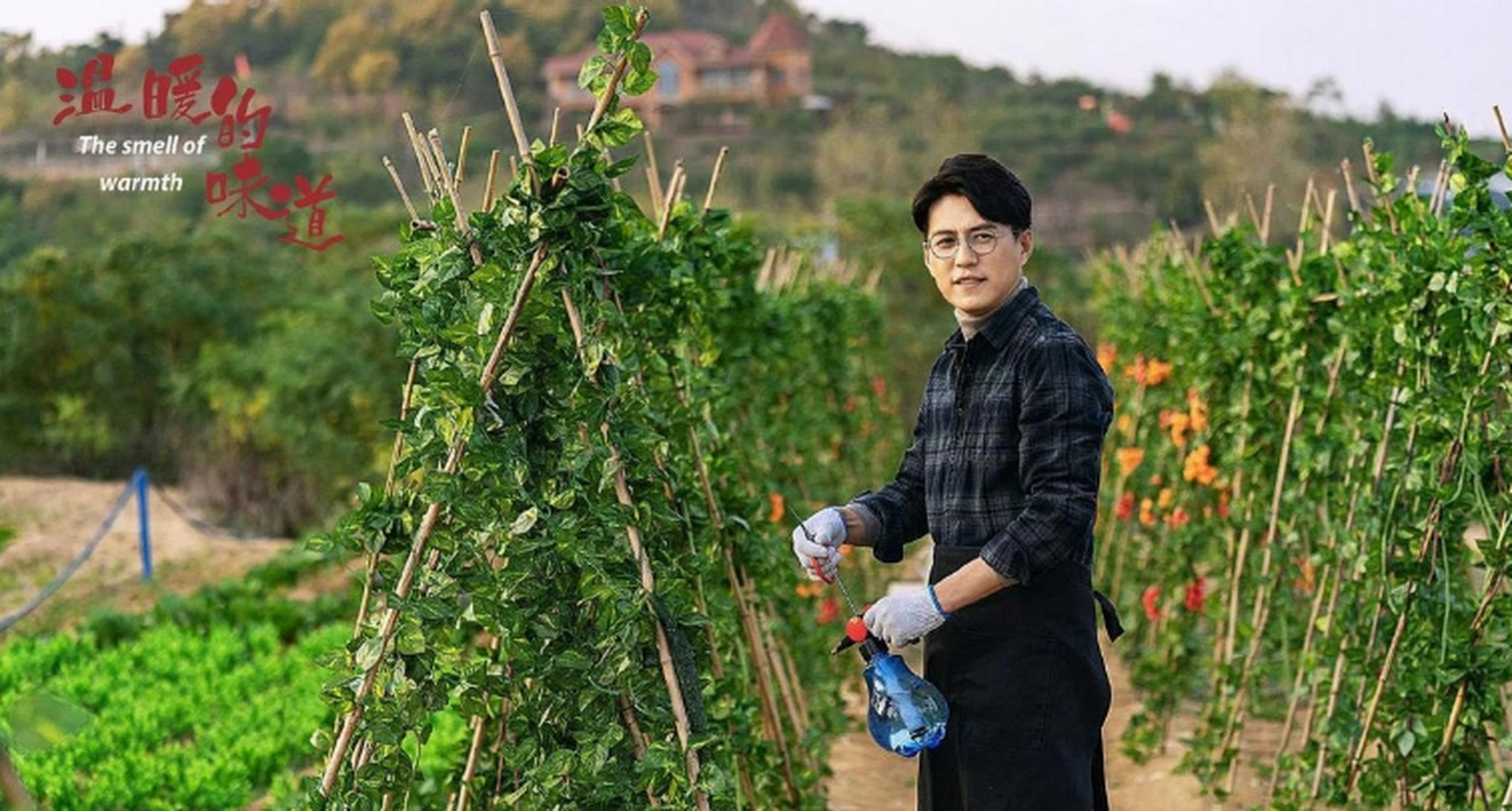 靳东,李乃文,吴越,赵柯在《温暖的味道》这部剧中同台演出后,靳东的