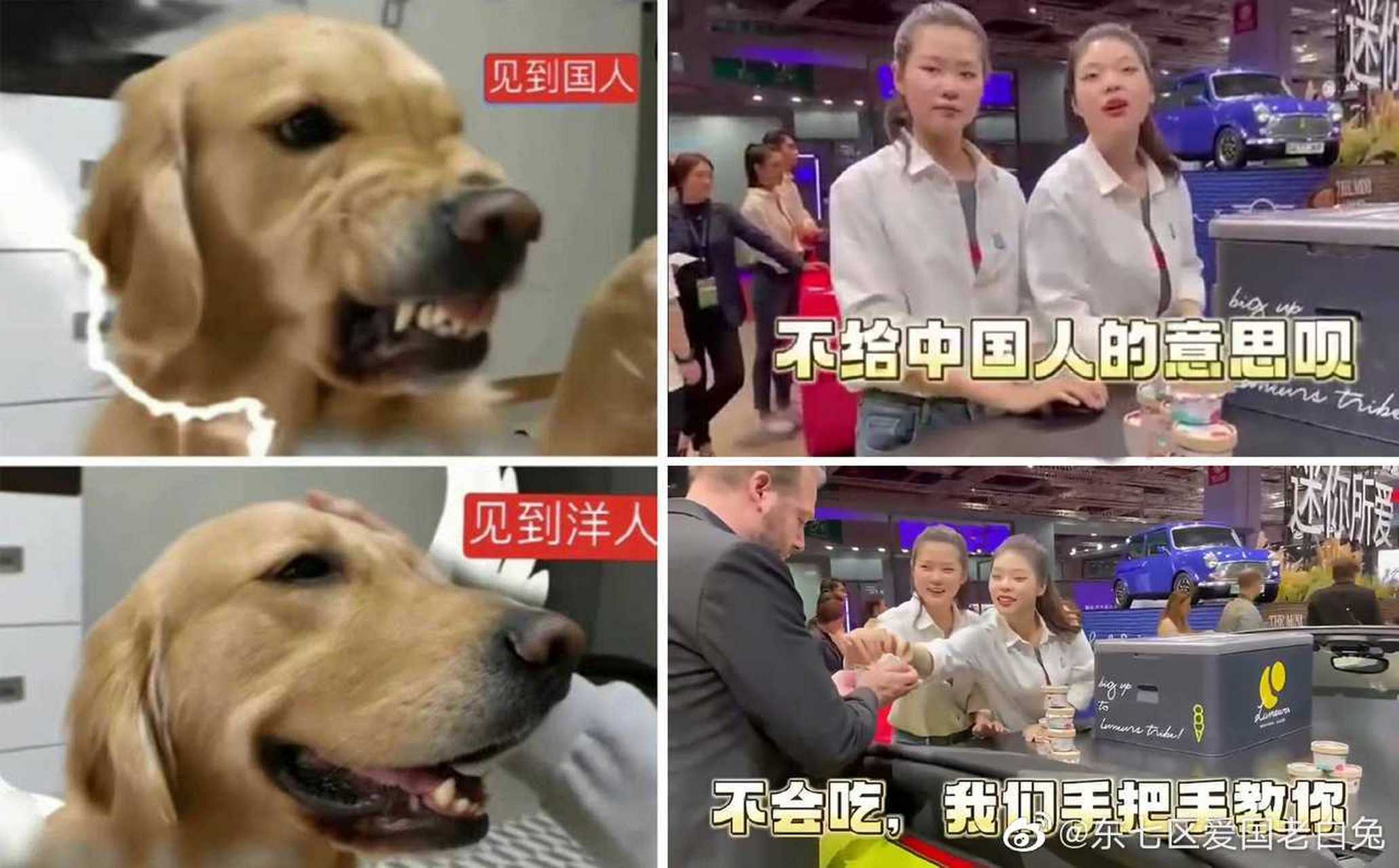 此图送给这两个崇洋媚外的殖人.