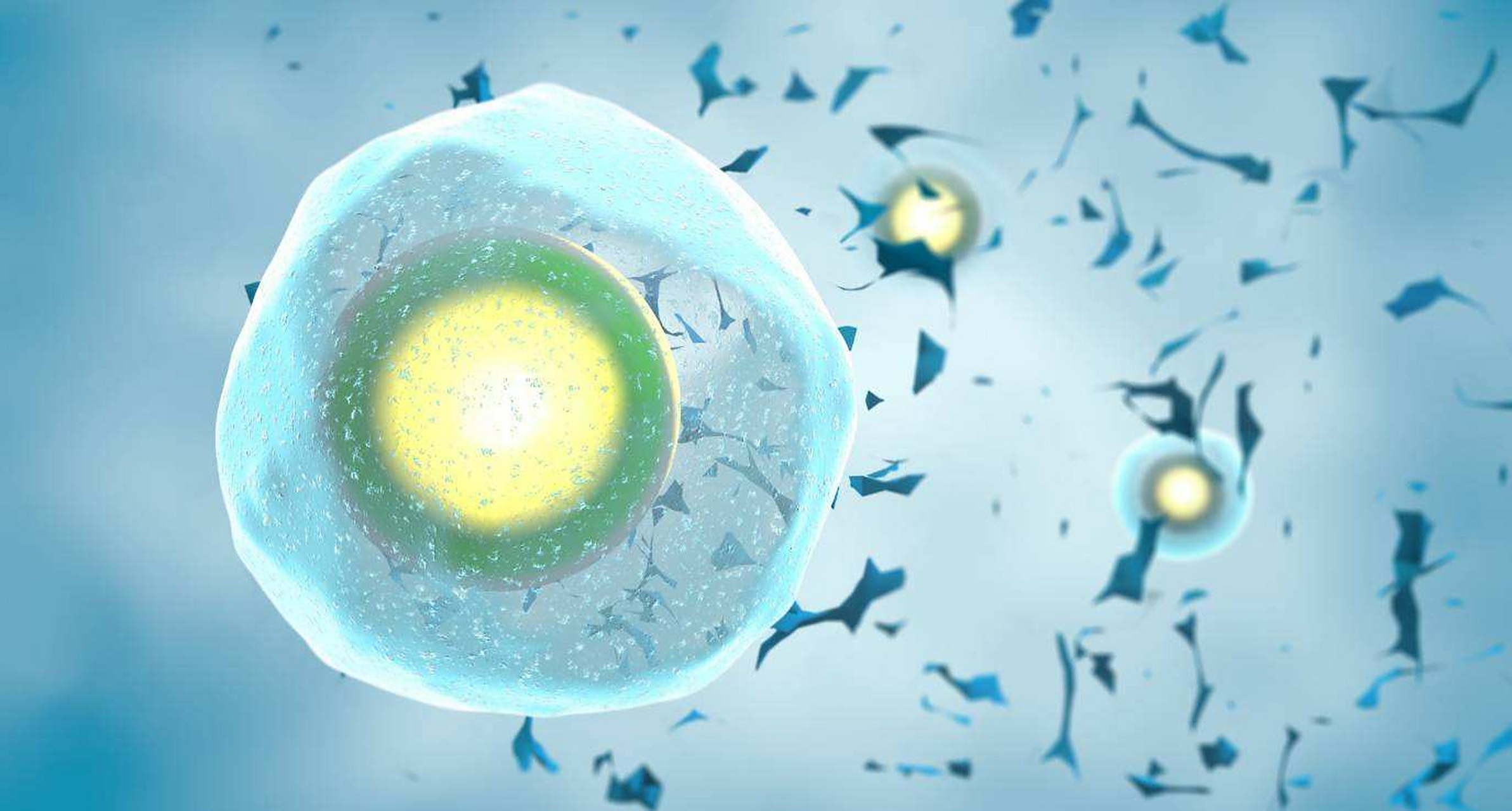 人类细胞图谱计划,这是一个包含了健康人体所有细胞的参考图谱,详细