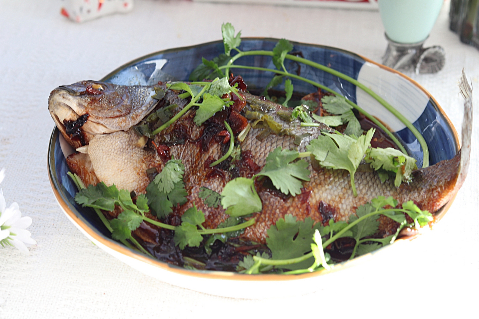 家焖翡翠斑 翡翠斑,有"澳洲国宝鱼"之称,料理方式多种多样,今天给大家