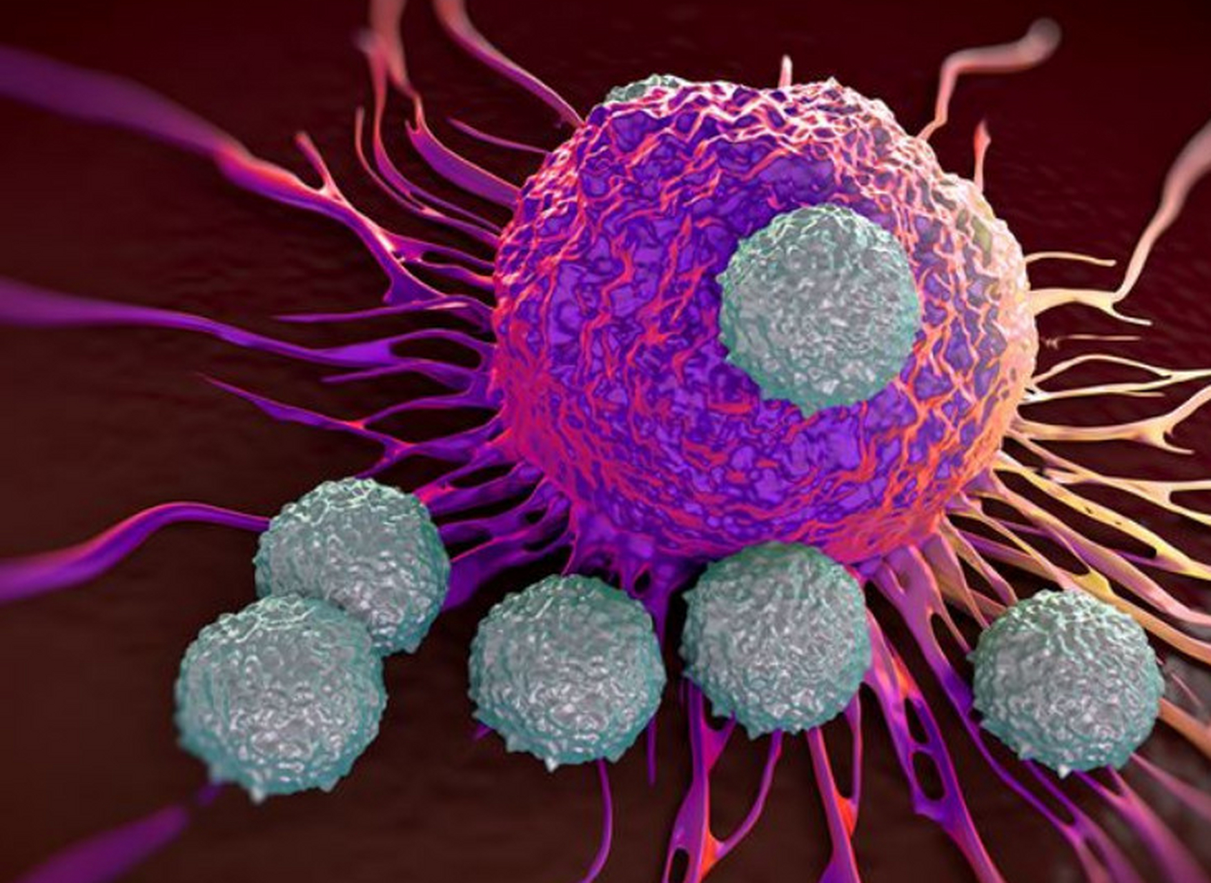 什么是人体免疫系统,它如何保护人体抵御疾病?  人体免疫系统主要是由