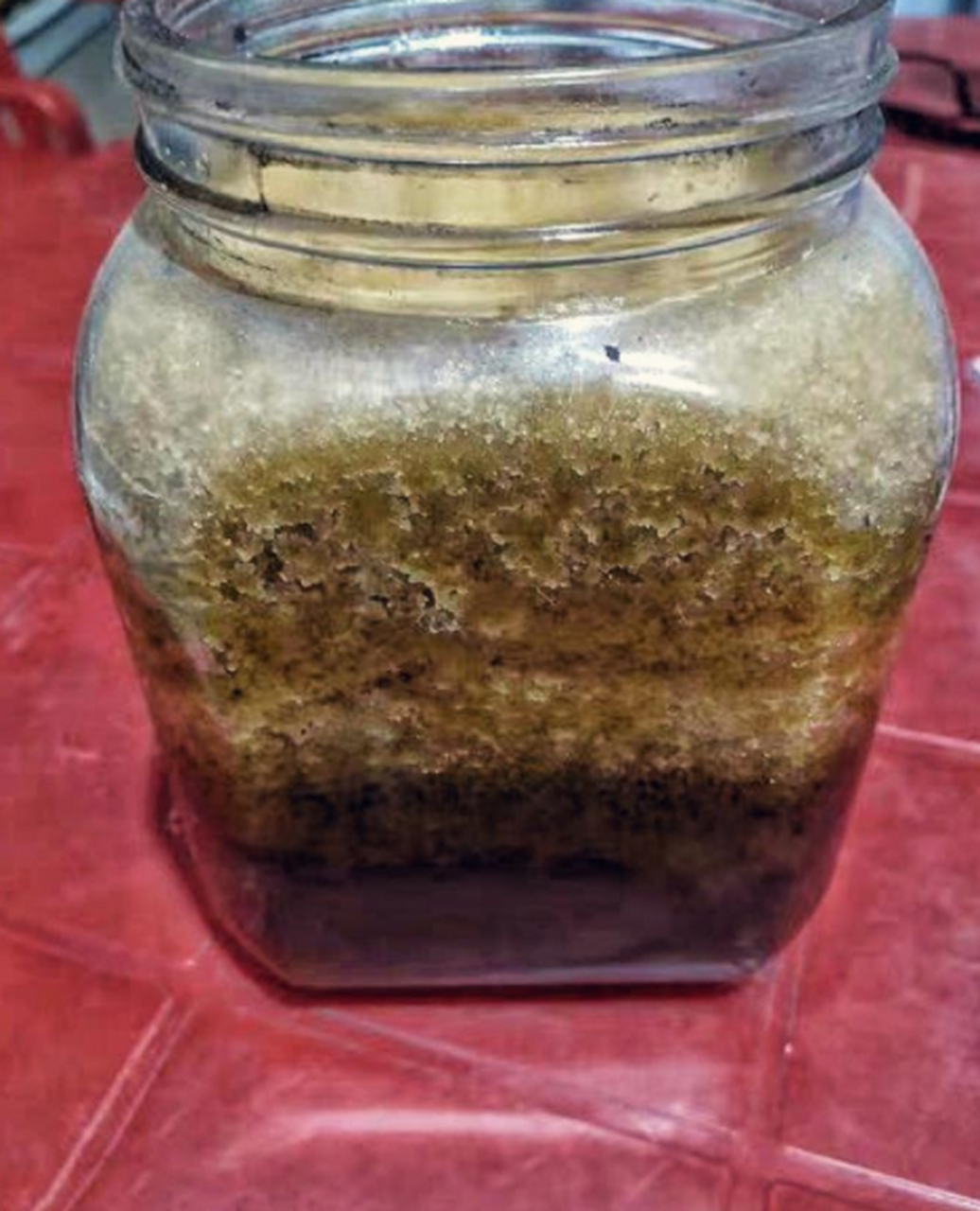 蜂蜜会变质(蜂蜜会变质吗?冷门知识告诉你)