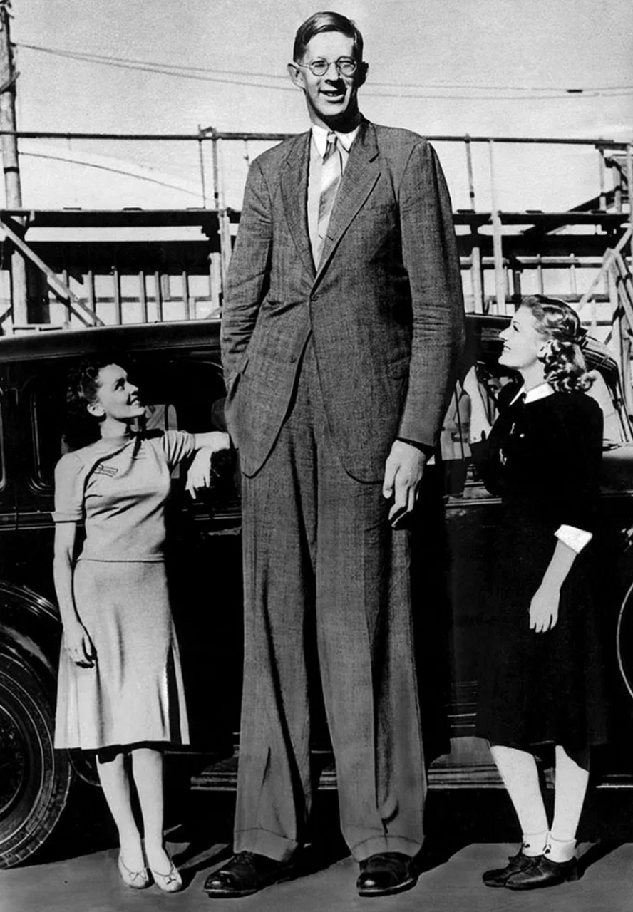世界有史以来最高的人是 robert wadlow.   他身高达 2.