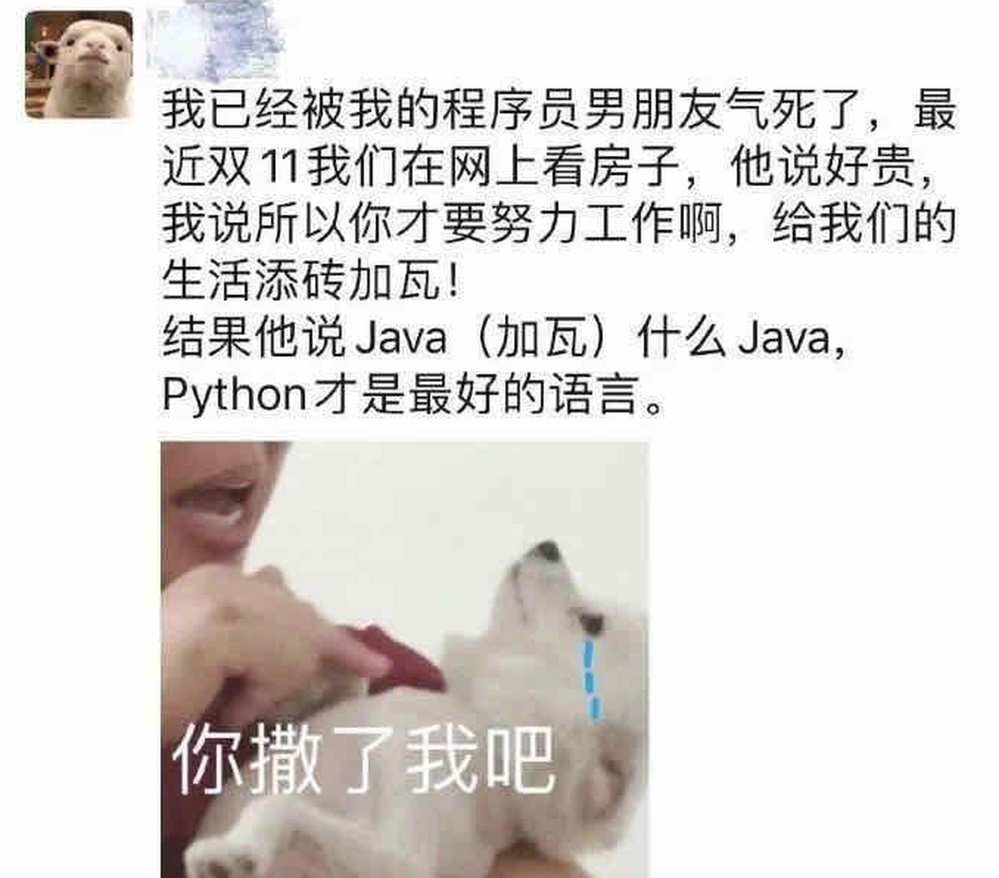 程序员的浪漫[三哈]