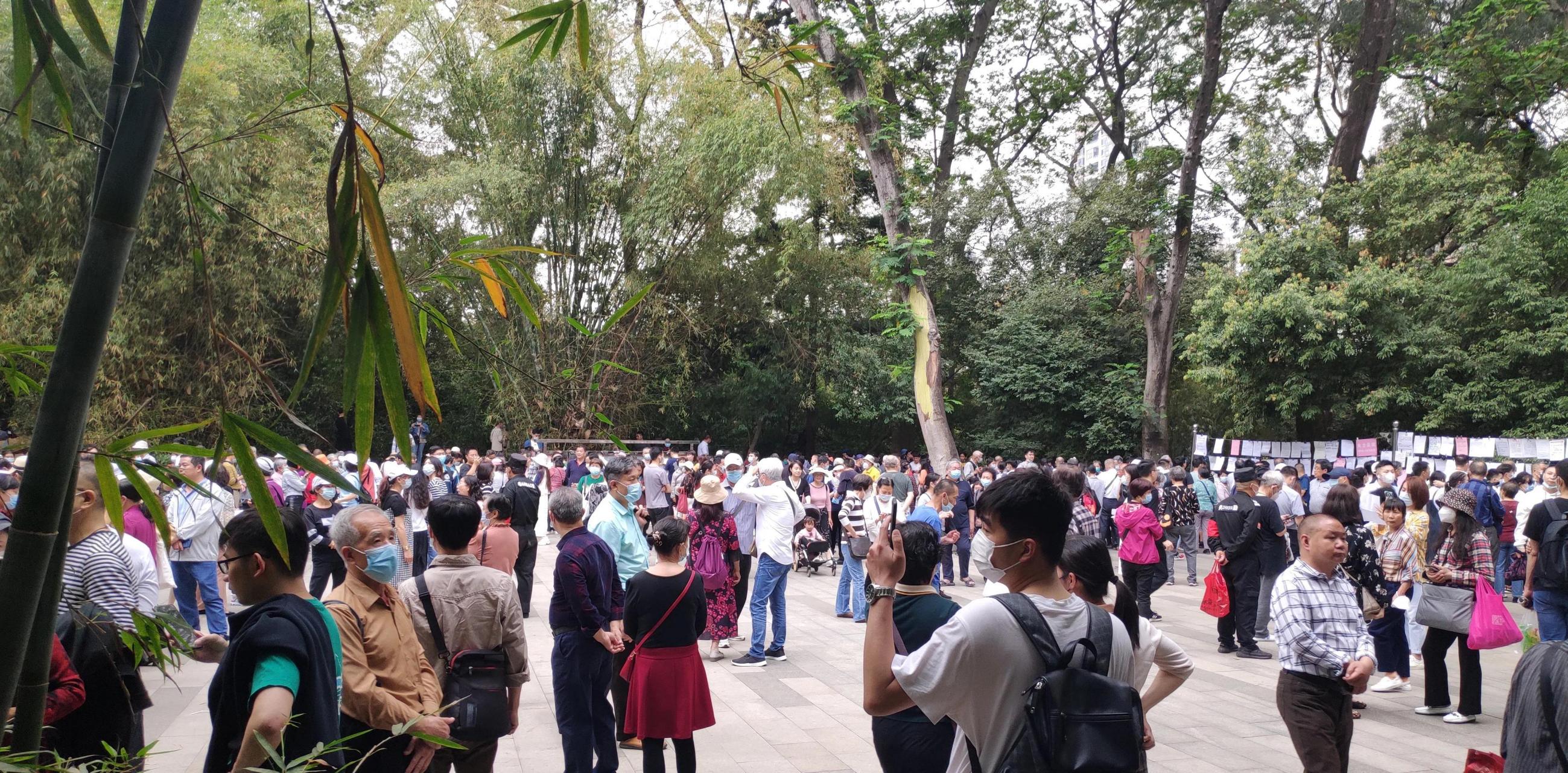 这里就是天下闻名的广州天河公园相亲角,每到周末这里的人很多人来