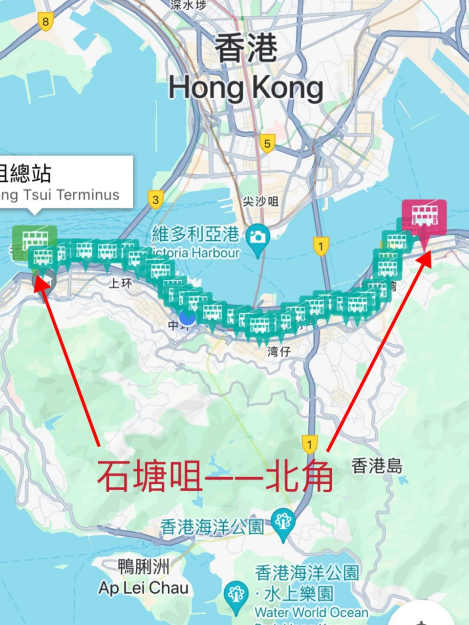 香港叮叮车蕞详细攻略,依旧是手把手教学  11566路线: 叮叮车只有