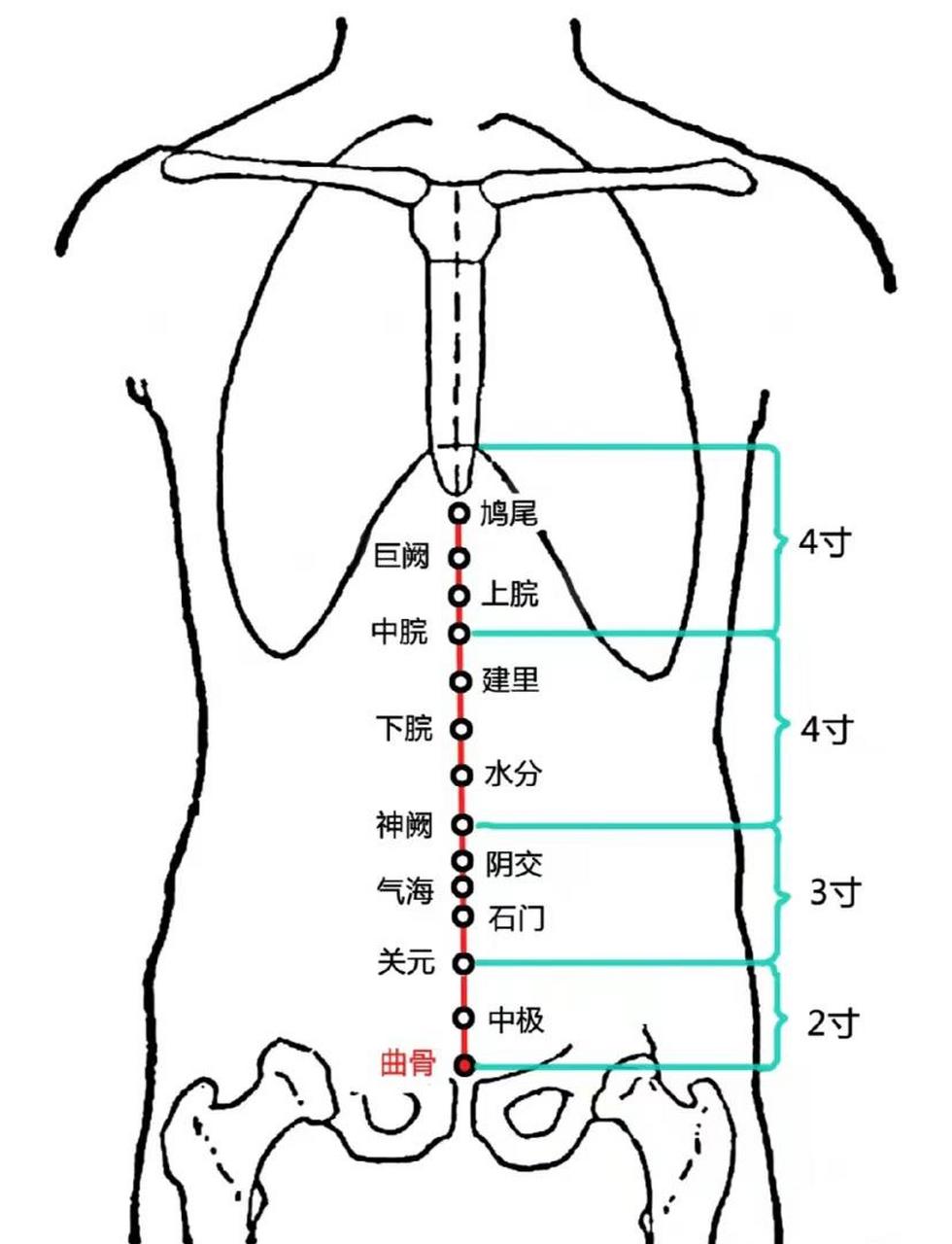 前列腺增生按摩示意图图片