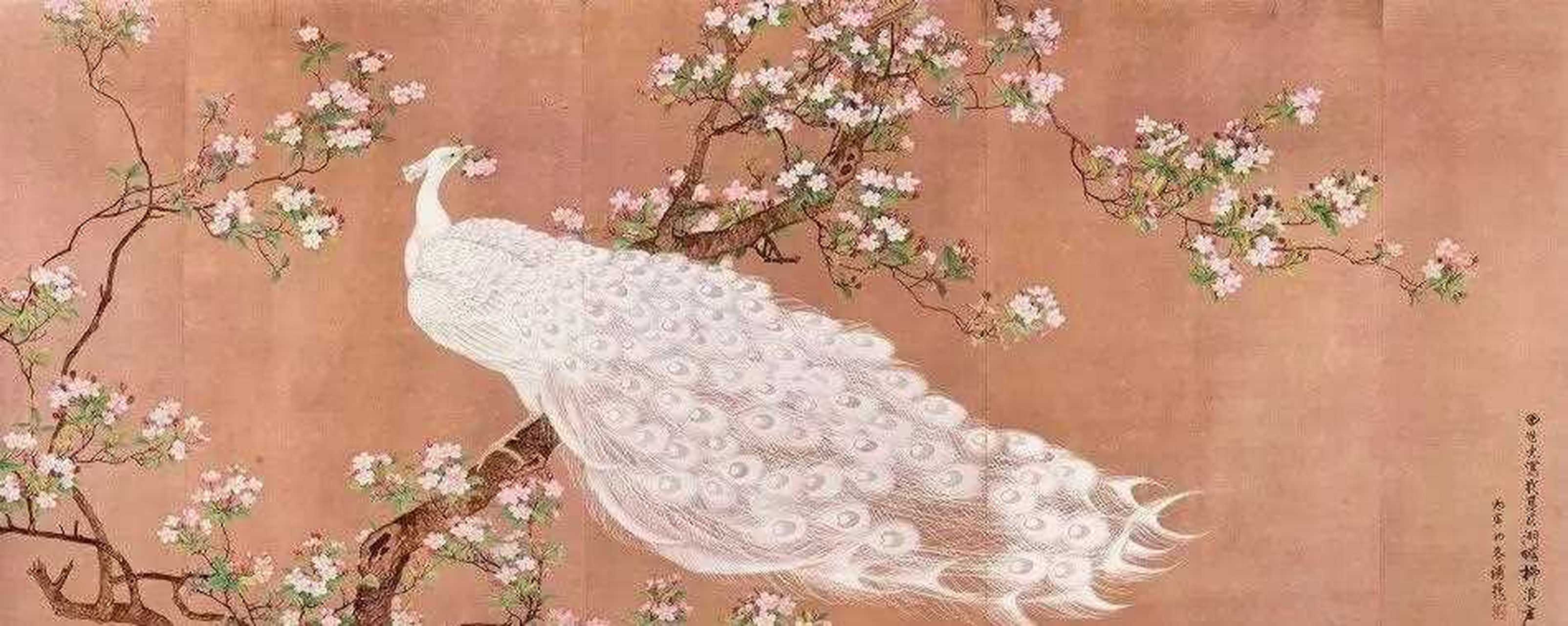 田世光笔下的孔雀,华美优雅.