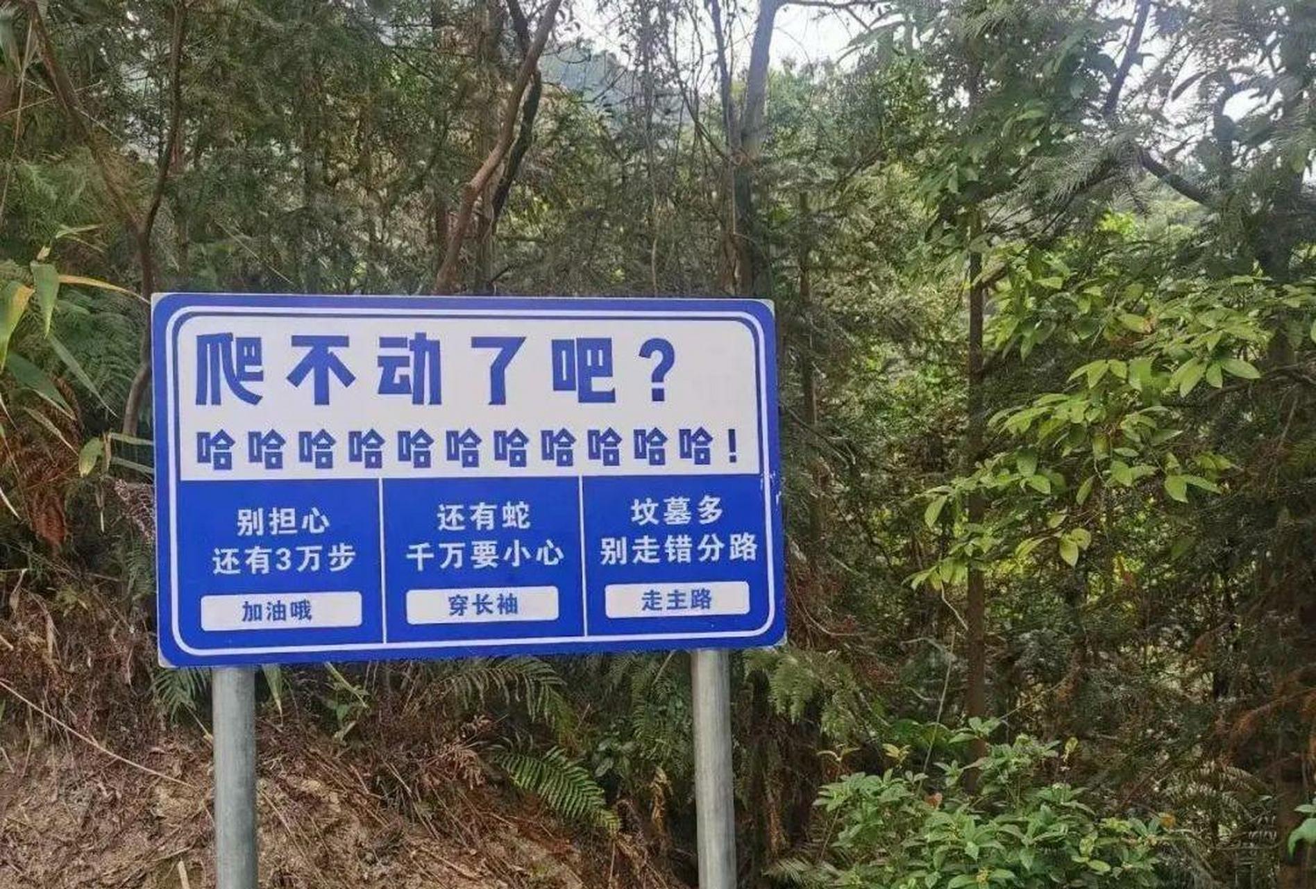 这牌子好贱,不过我喜欢