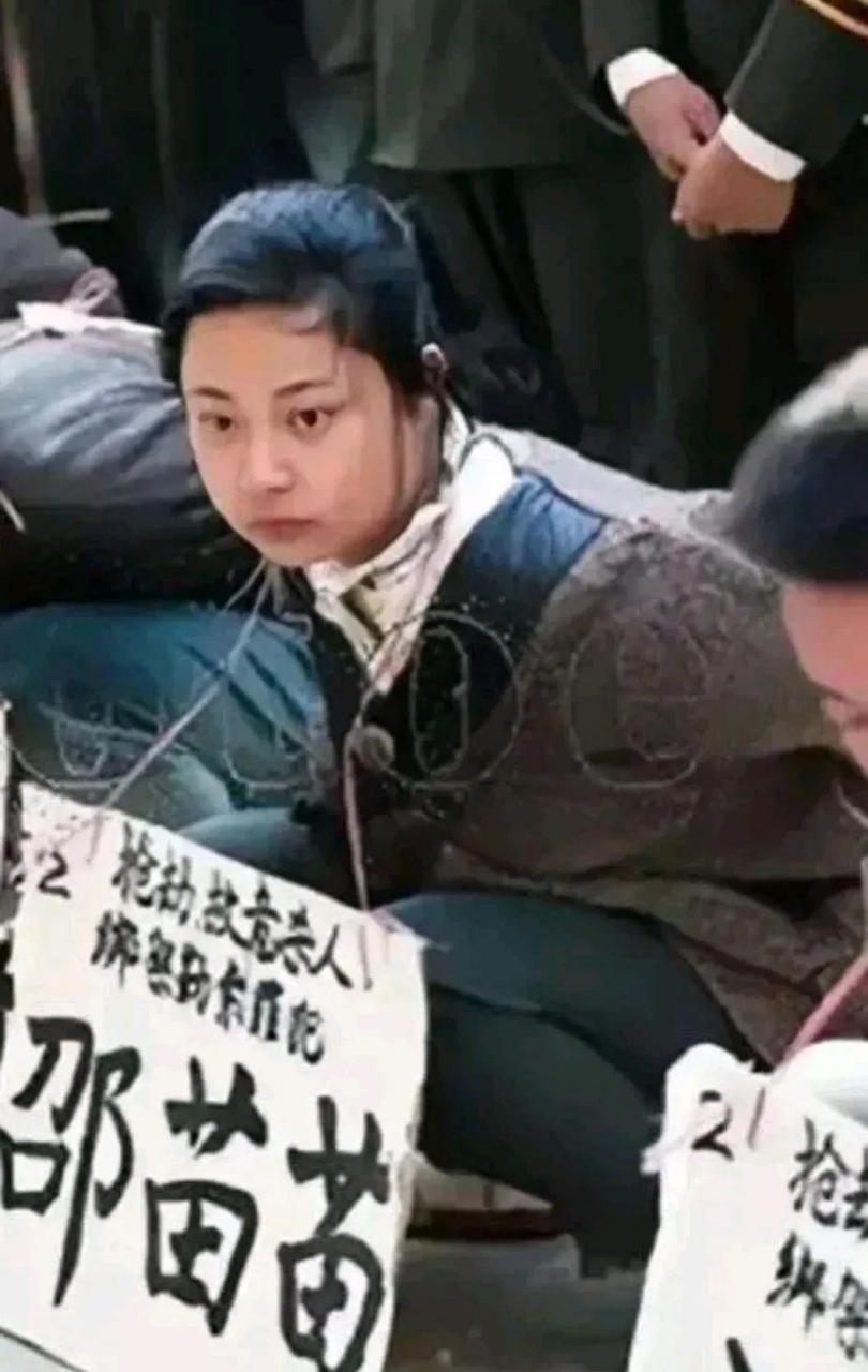 邵苗苗,一个年轻貌美的女子因为罪恶的行径走到了犯罪的道路上,最终陪