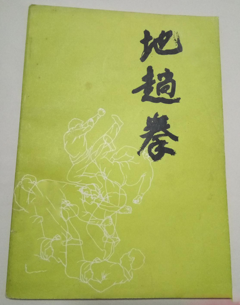 地趟拳(也叫地功拳,八折拳或地躺拳)在现如今主要流传于陕西,四川