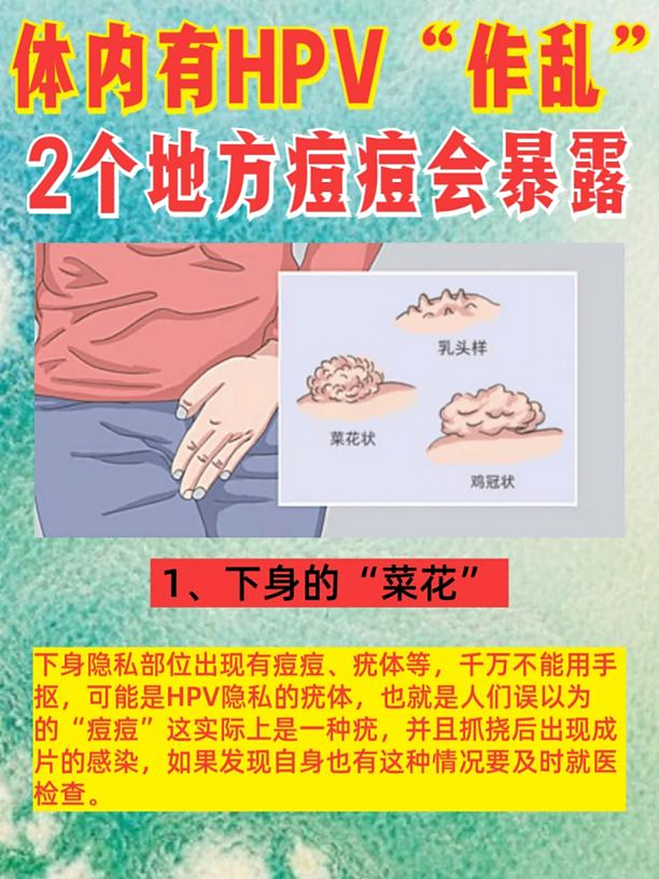 hpv在体内"作乱",2个地方会爆出"痘痘"  1,下身
