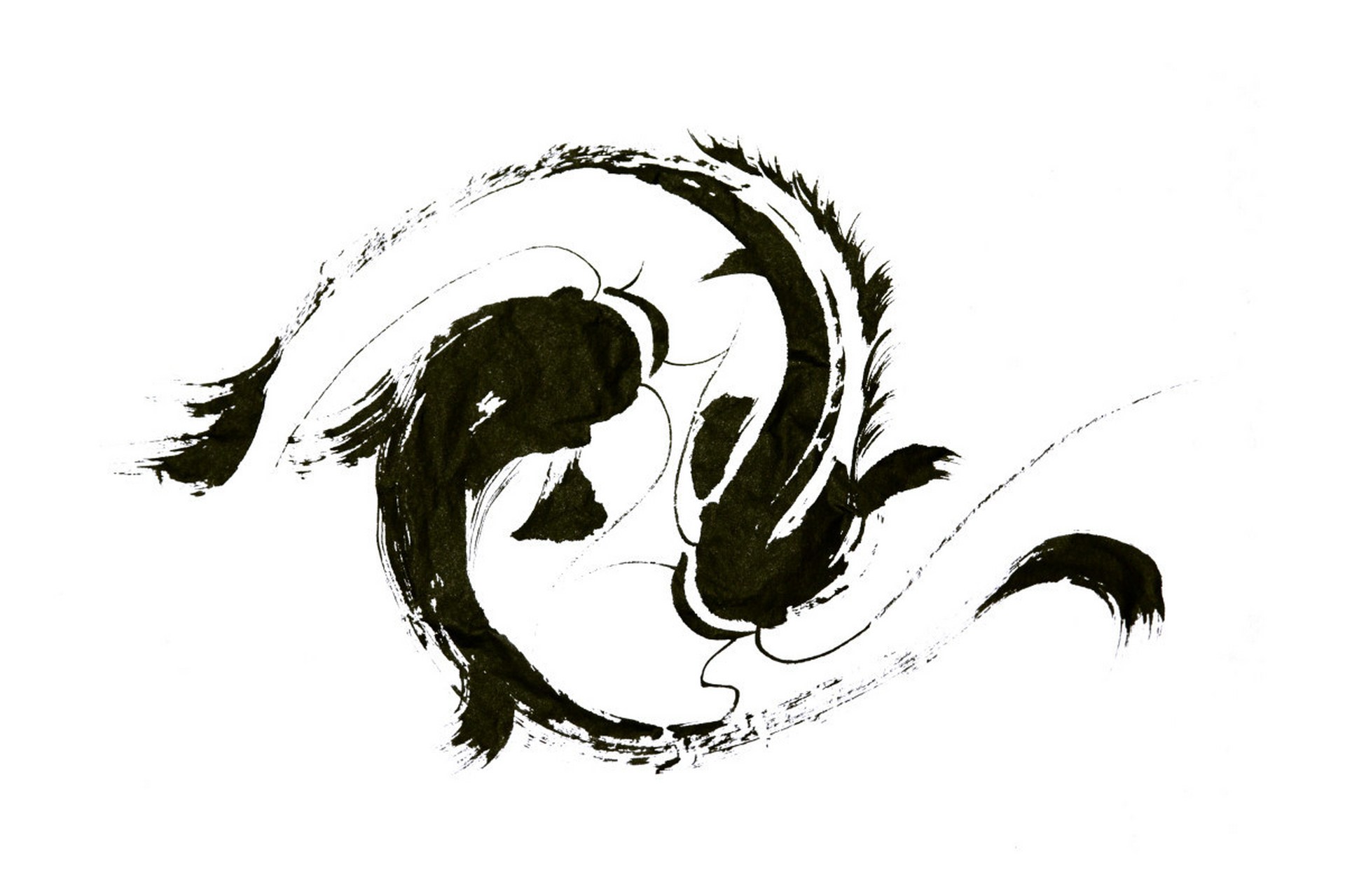 中国哲学简史# #助我曝光啊# #阴与阳#  "阳"