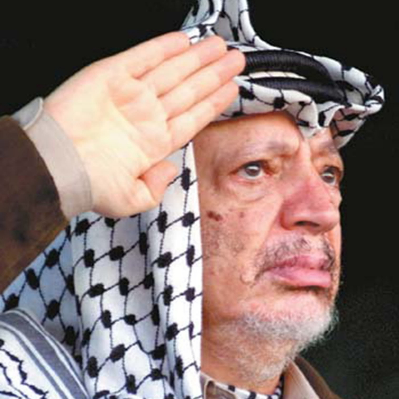 怎么评价巴勒斯坦国父——阿拉法特?