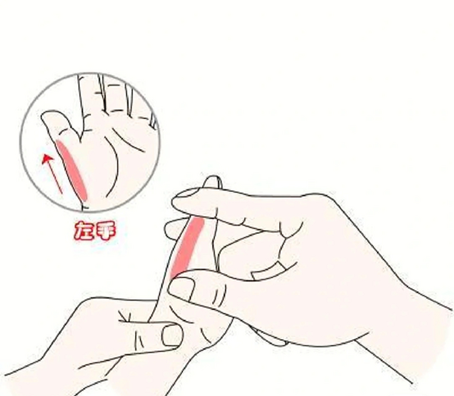 1,补脾经 从大拇指尖推到指根,叫补脾经,作用健脾,和胃,促消化.