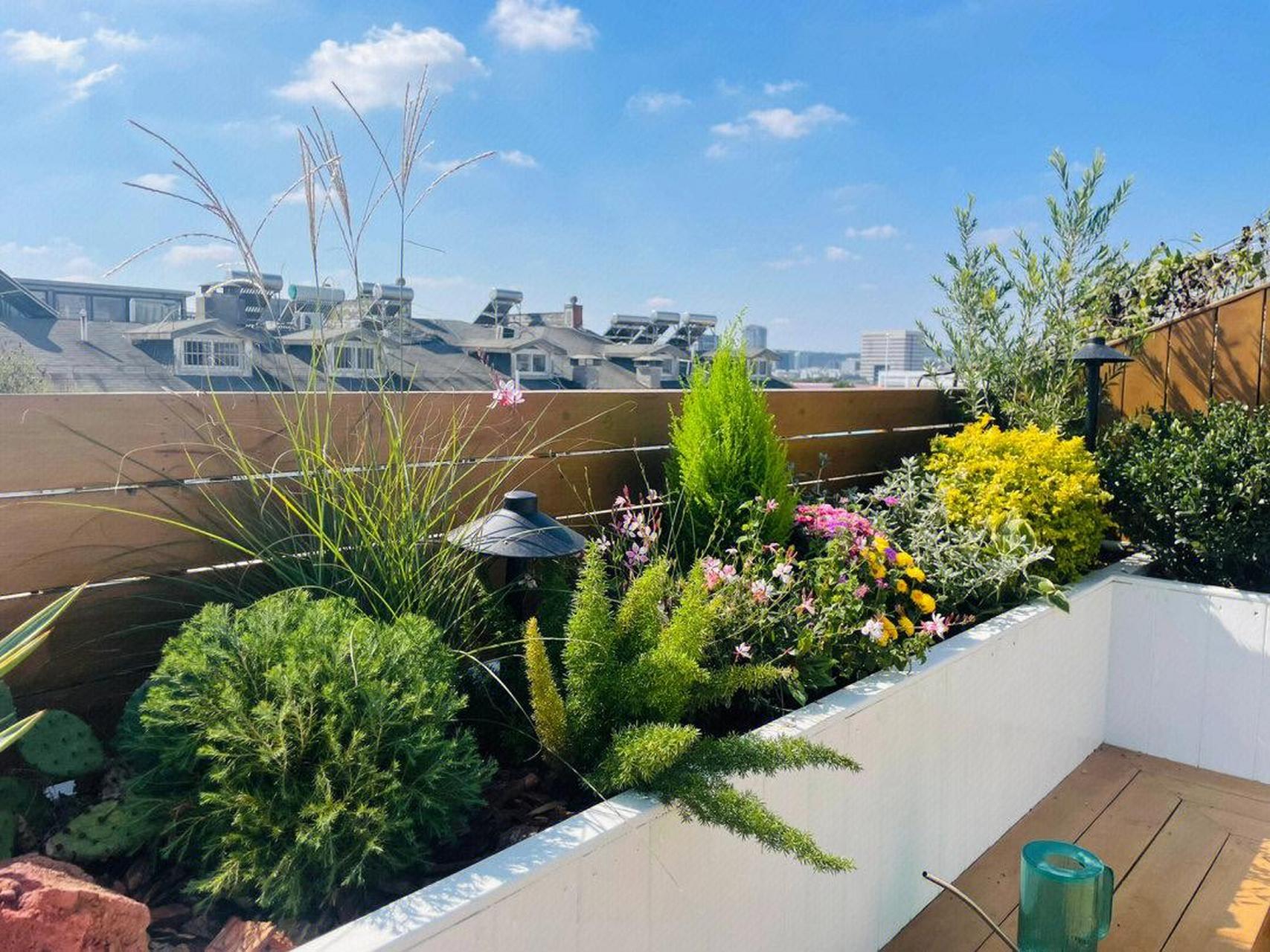 30㎡露台小花园快速改造 露台屋顶小花园 简洁设计,实用好打理,合理