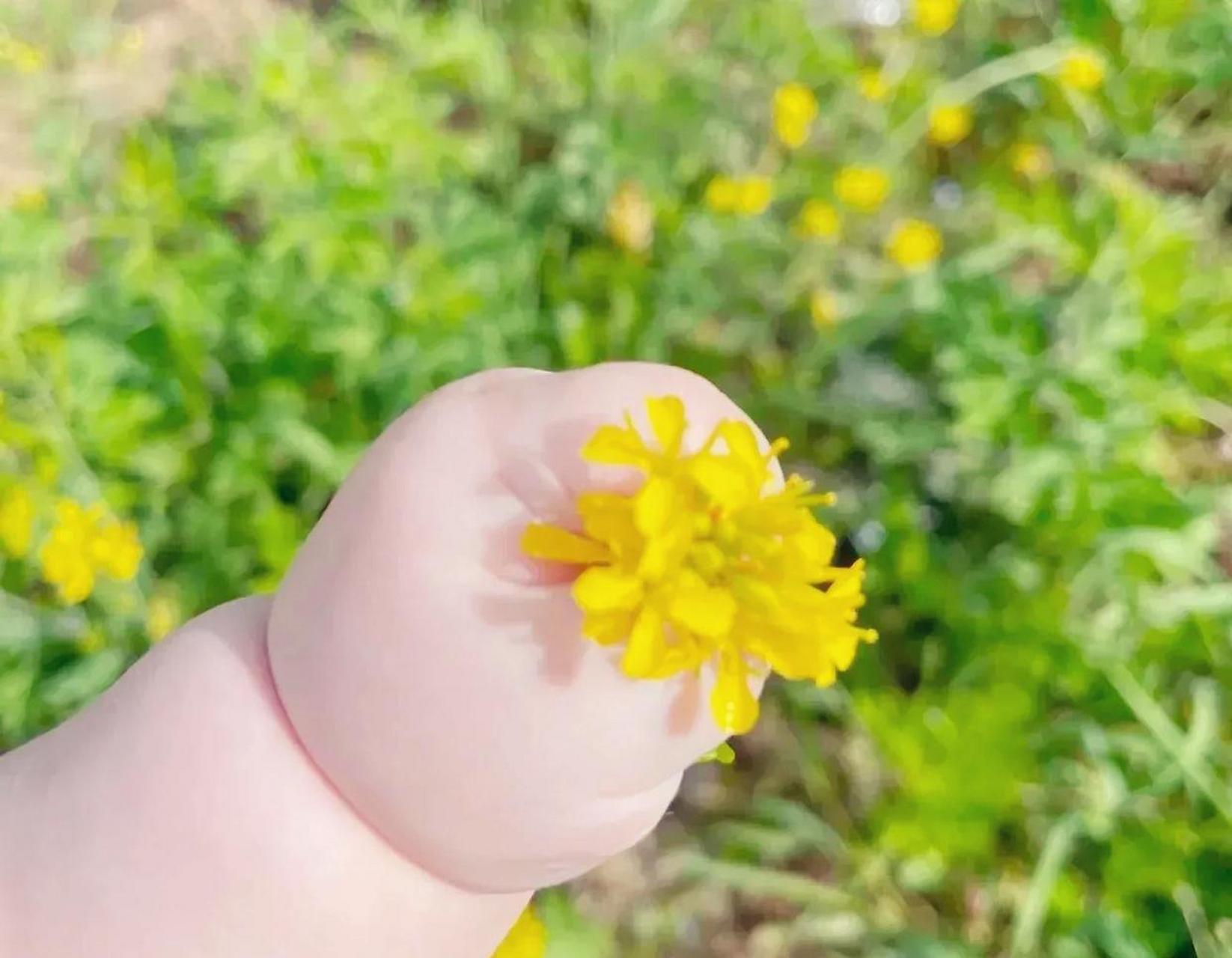 网友:这胖嘟嘟的小肉手,也太可爱了!