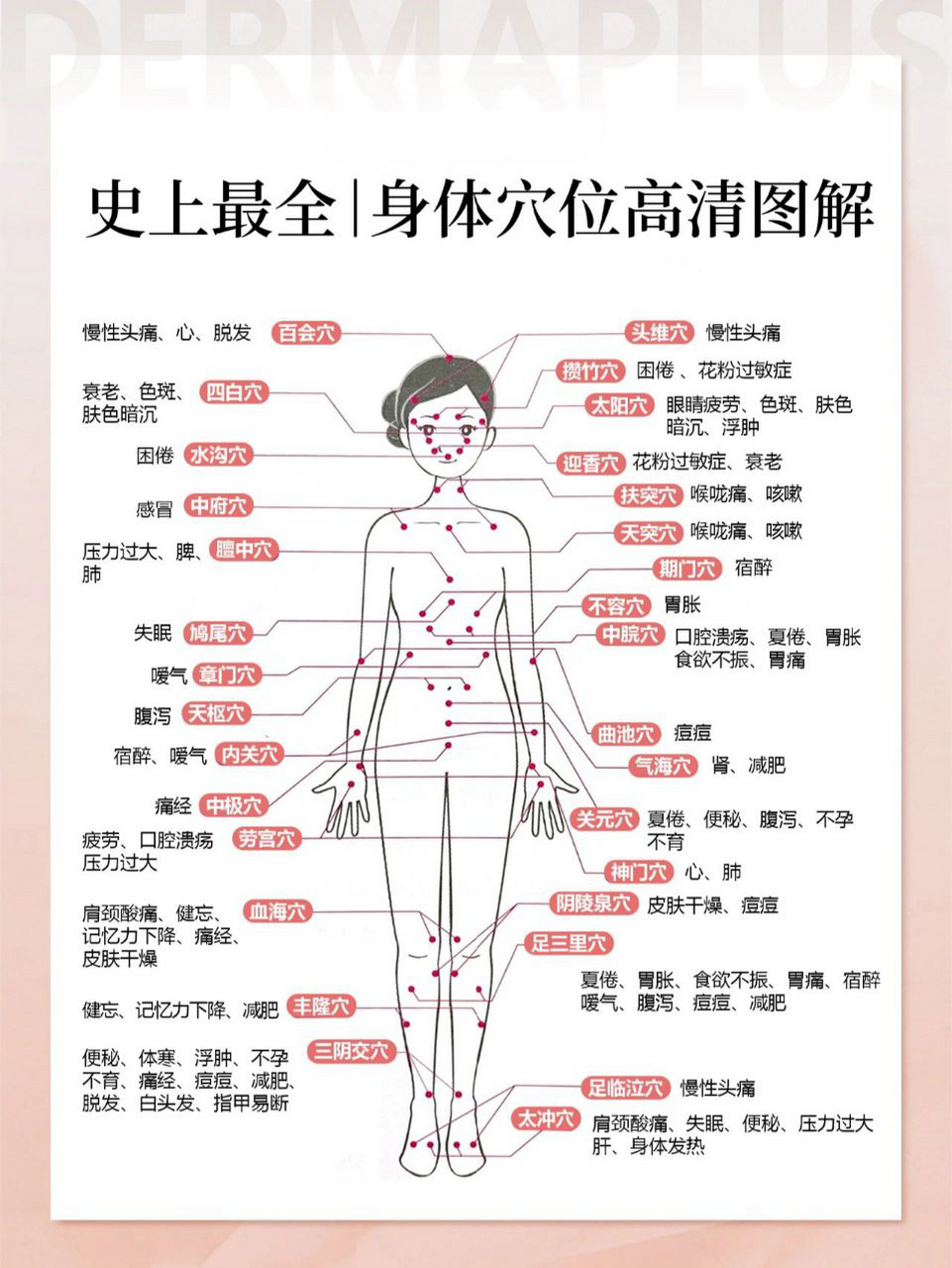 人体最全穴位图解,经络不通,点穴来缓解!