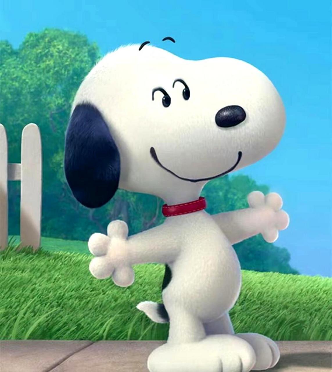 这只小狗因为和史努比长得太像而走红,被称为真正的史努比版狗狗,拥有