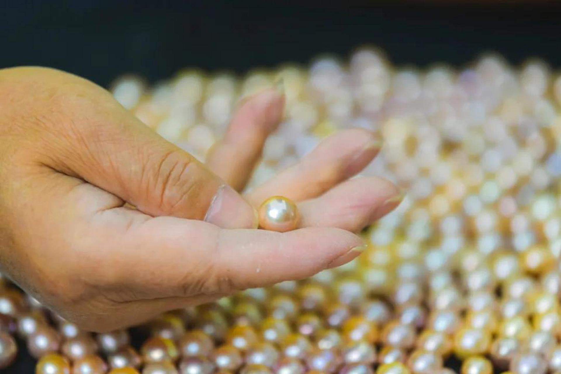 天下珍珠渭塘先 #渭塘珍珠##珍珠# 珍珠是一种有机宝石,晶莹圆润,高雅