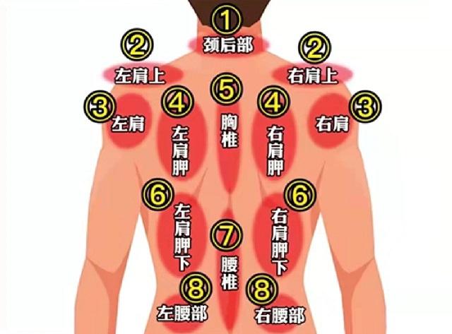 后背部位疼痛图解图片