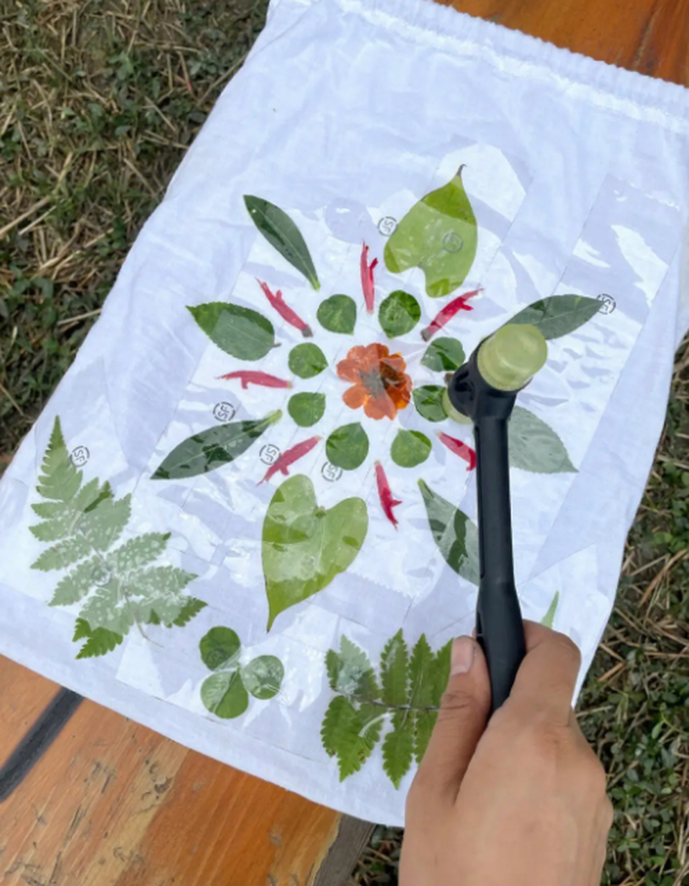 这个植物你一定没见过# 国庆节,和孩子们一起来玩树叶拓染!