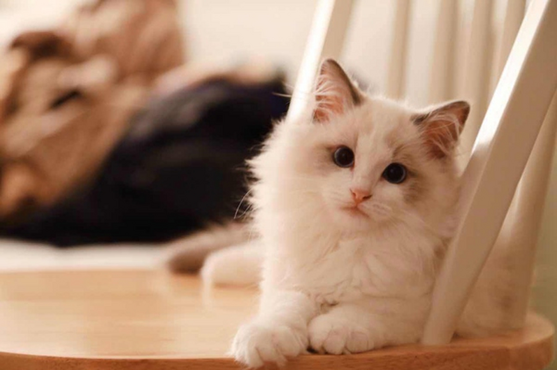 心随境转是凡夫,境随心转是圣贤