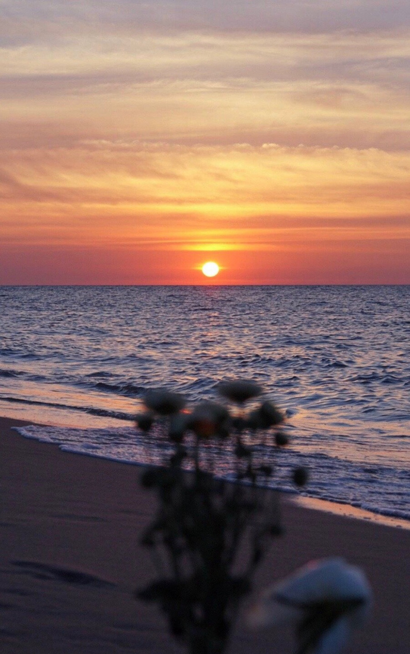 因为别人的评价,我们磨掉了多少棱角,丢掉了多少独一无二的性格;在乎