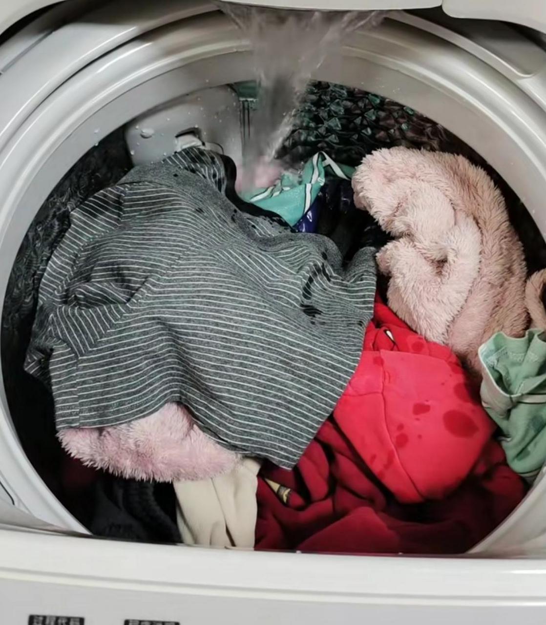 嫂子,我爸的内裤都挂厕所好几天了,你可以手洗一下吗?