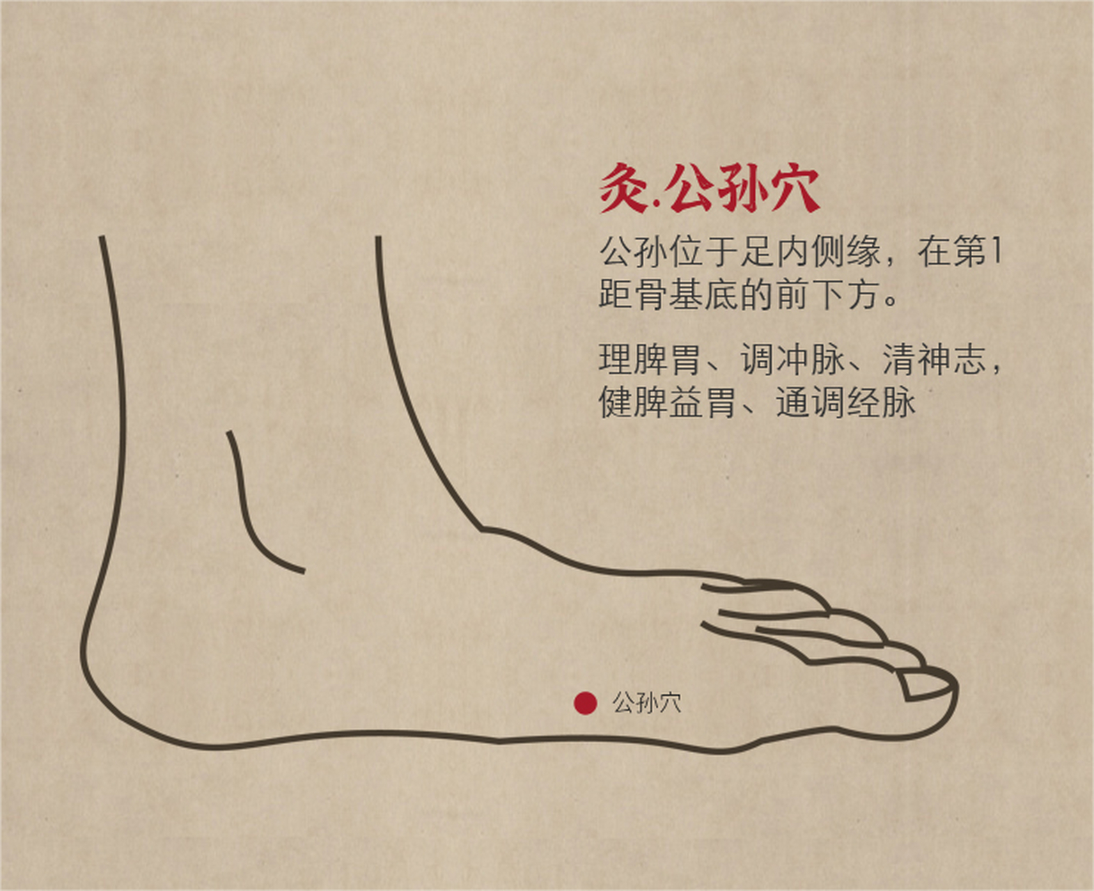 公孙,足太阴脾经腧穴,本经络穴,八脉交会穴之一,交冲脉.