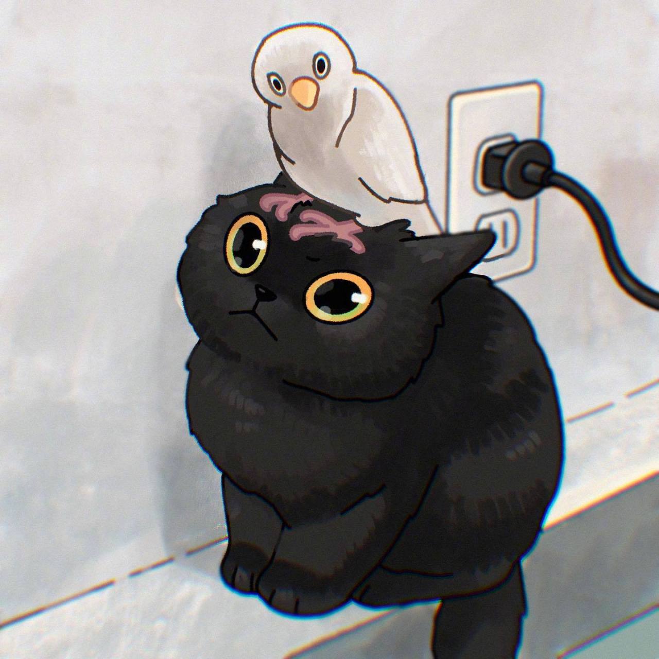 二次元的可爱猫猫(*0766`*)(*0766`*)(*0766`*)