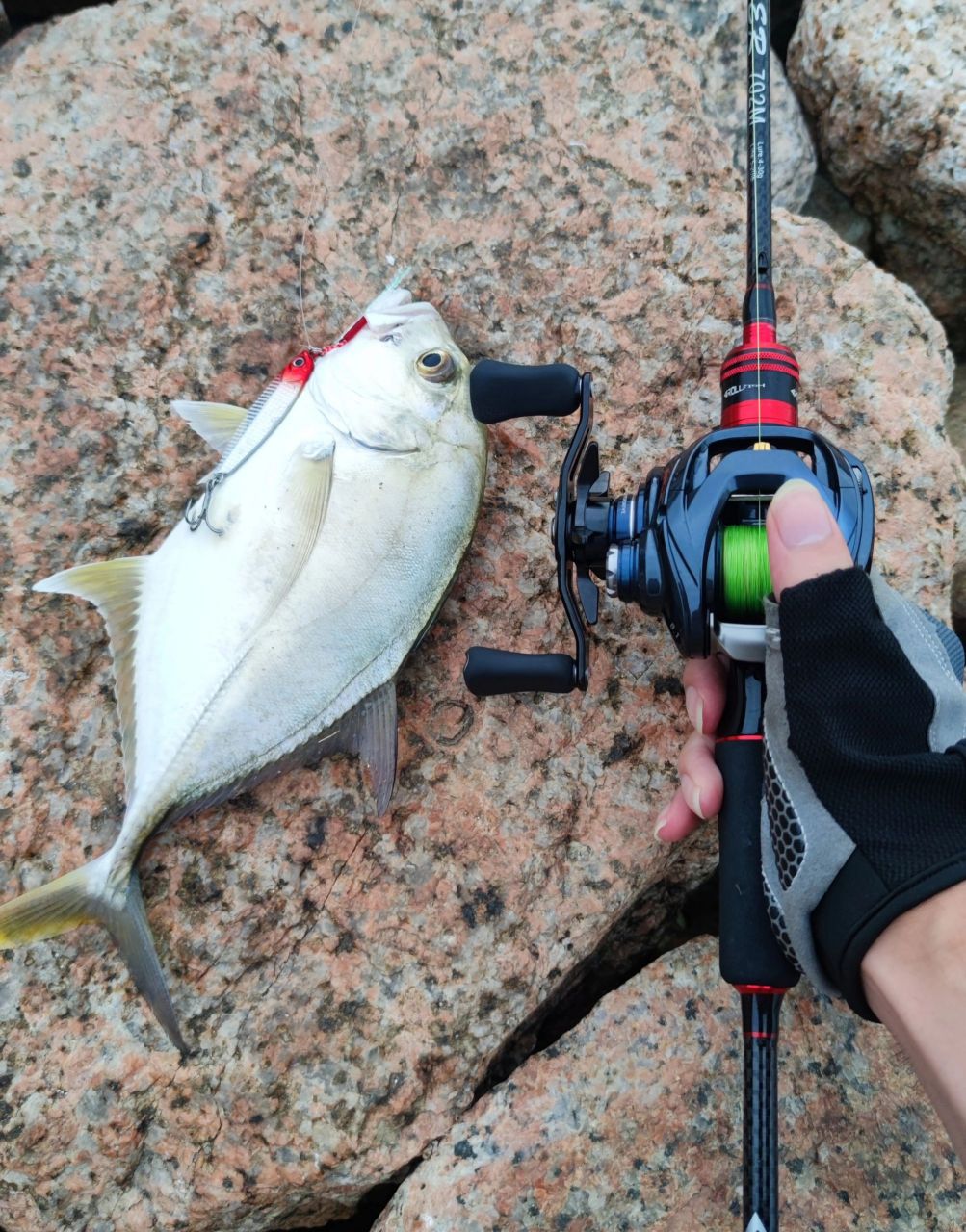 前海早口上鱼 前海早口解锁gt, 鱼不大, 拉力杠杠的 #钓鱼# #户外钓鱼