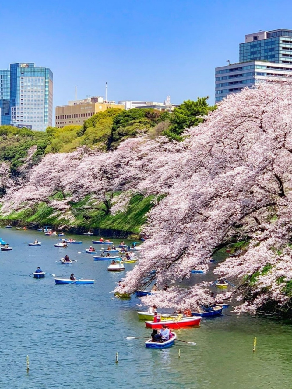 日本手机壁纸 竖屏图片