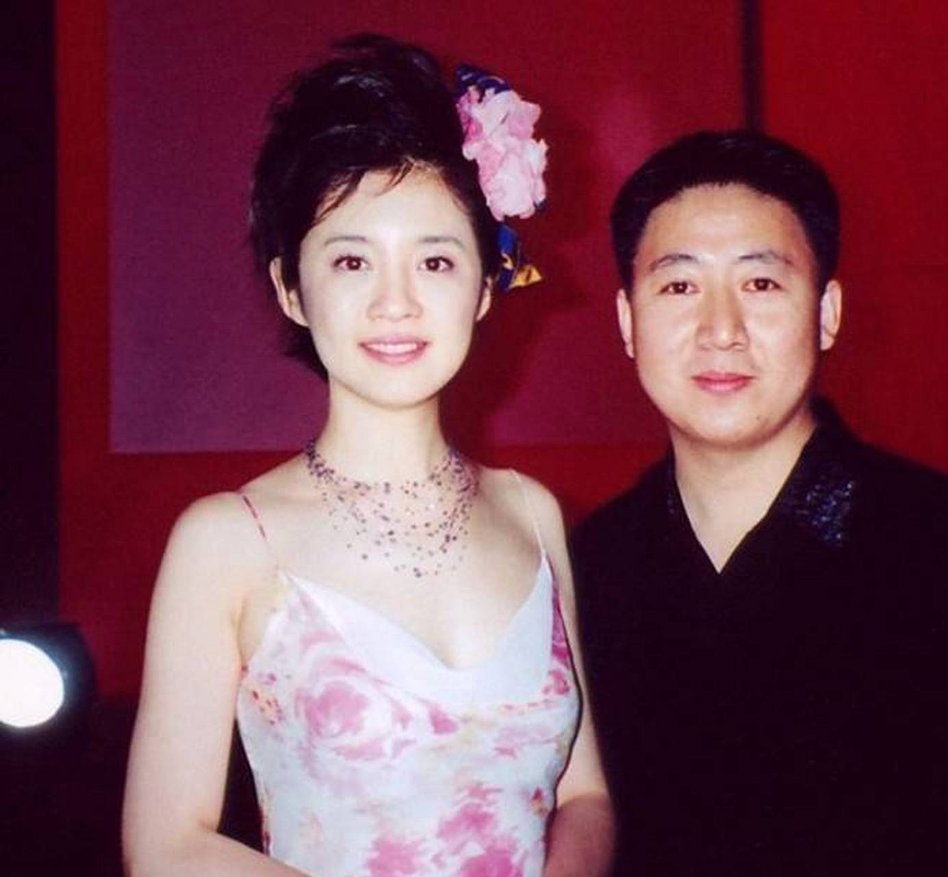 "  随后,丁健就带着许戈辉去了南非旅行结婚,婚后八个月,许戈