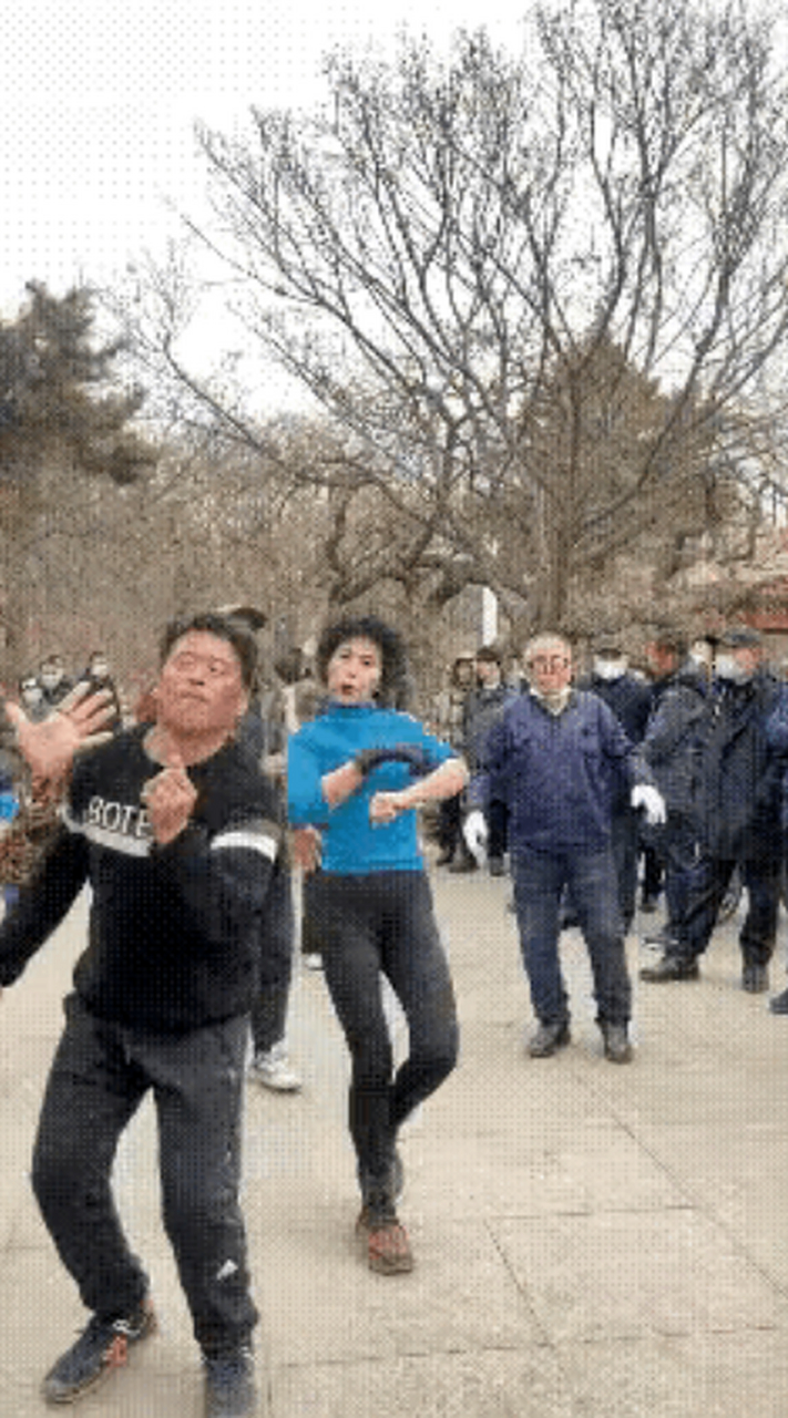 这几天,沈阳劳动公园火的一塌糊涂!