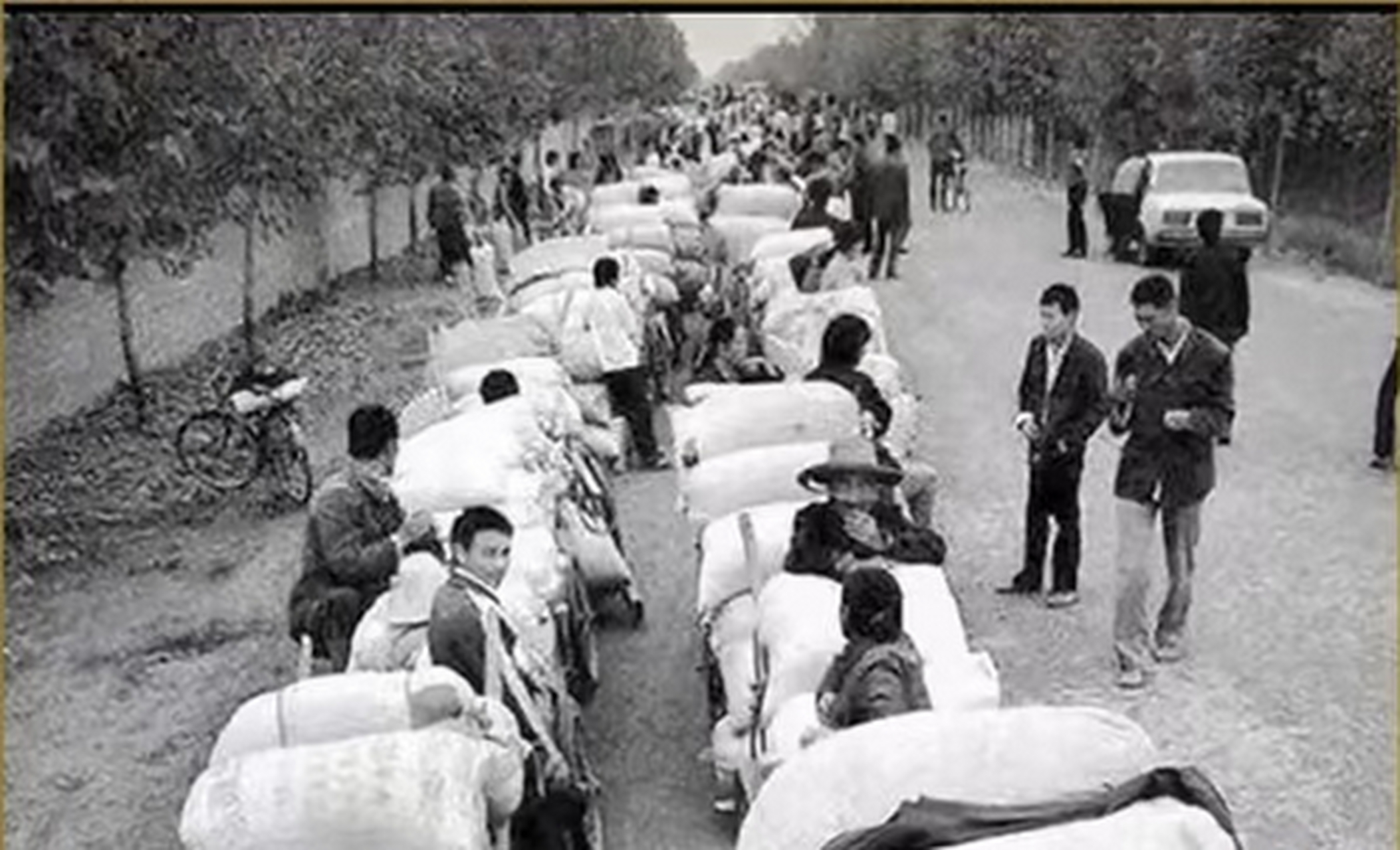 90年代排队交公粮的农民!