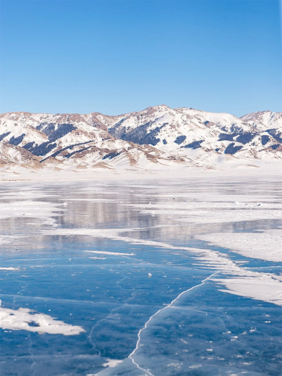 喀纳斯的雾凇,仿佛是寒流在晴冬中创造的杰作,让人沉醉其中.