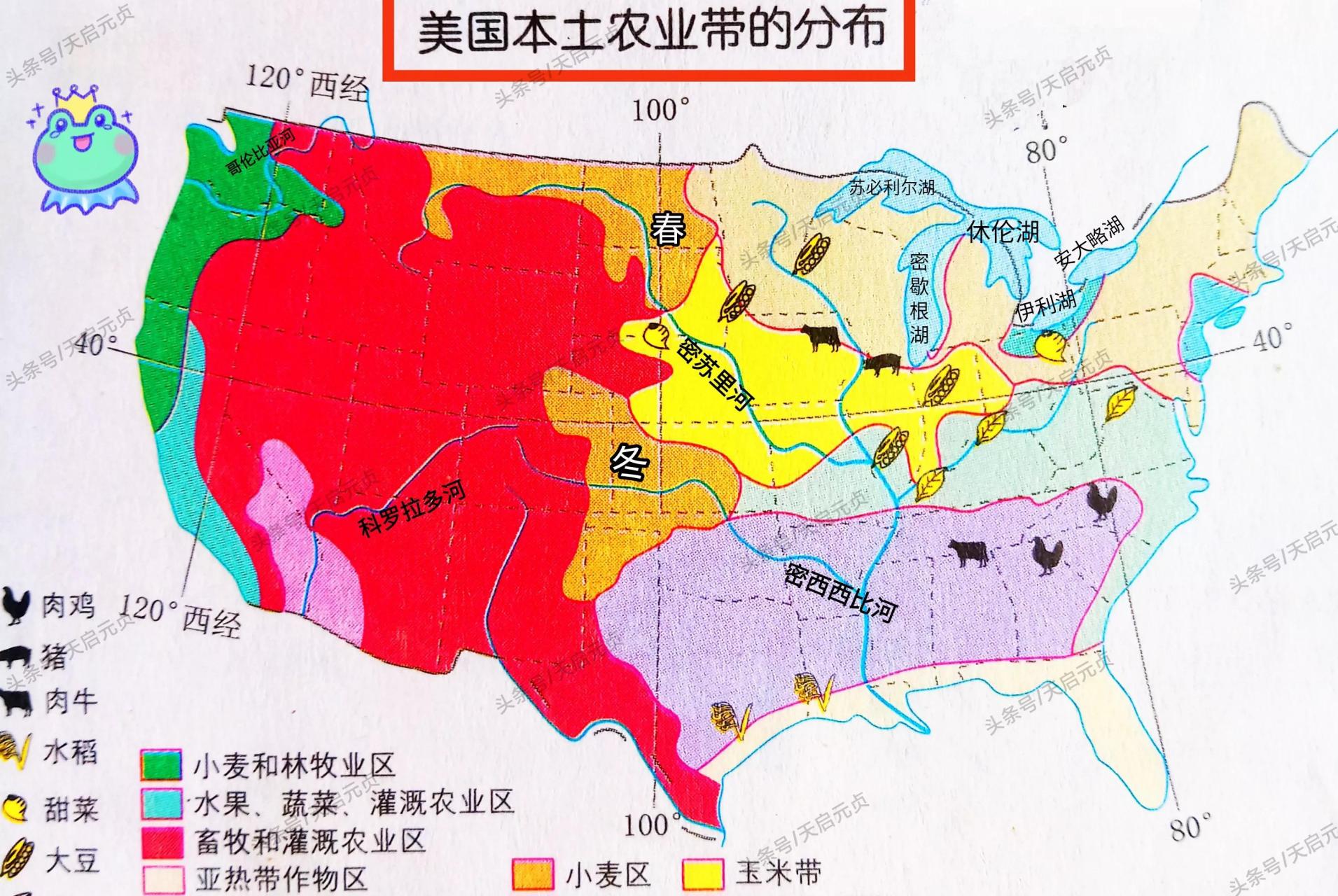 美国本土的农业发展条件太好,如此才形成了专业化的分区农业带