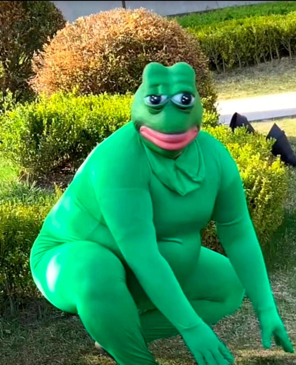 这只青蛙真是巨大而且长相奇特啊!