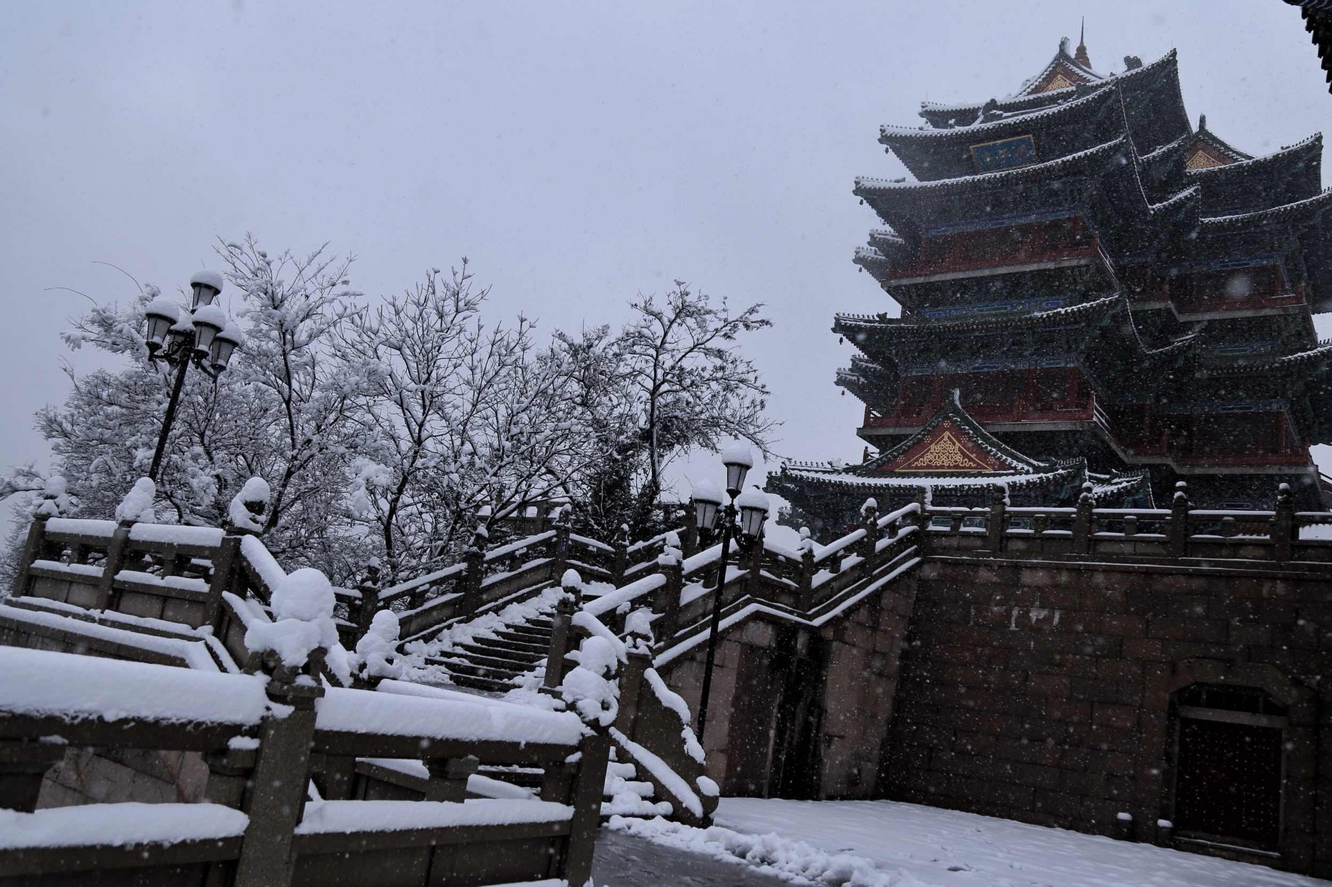 《咏雪诗词专栏丨天留素雪妆世界,我把诗词付君卿【秋兰香】梅花