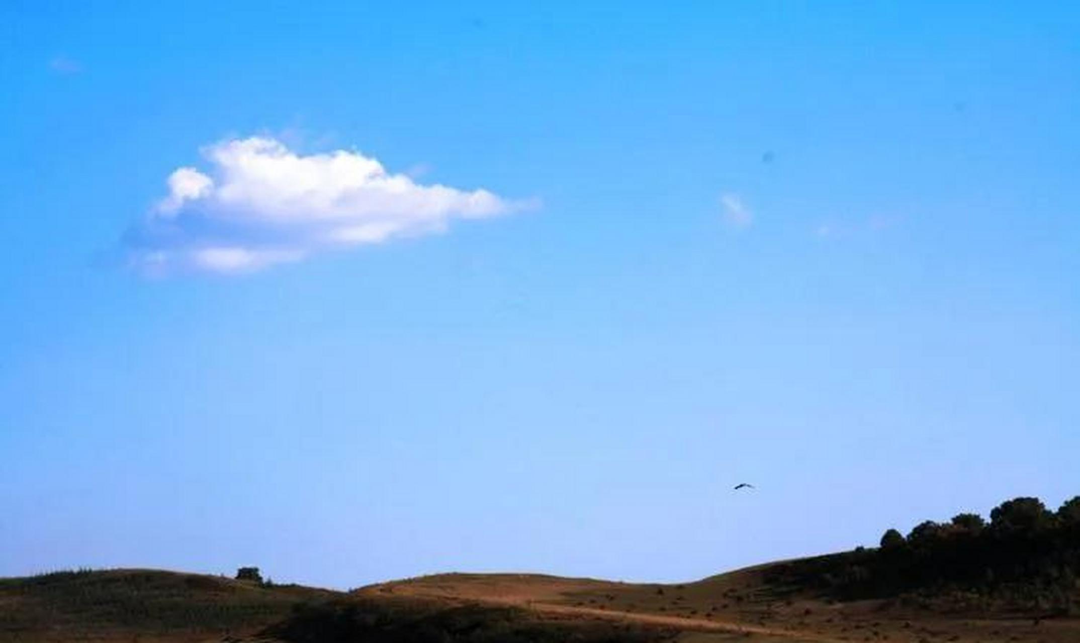 禅意是指具有清静安宁无我之心,处空旷幽静之境的状态.