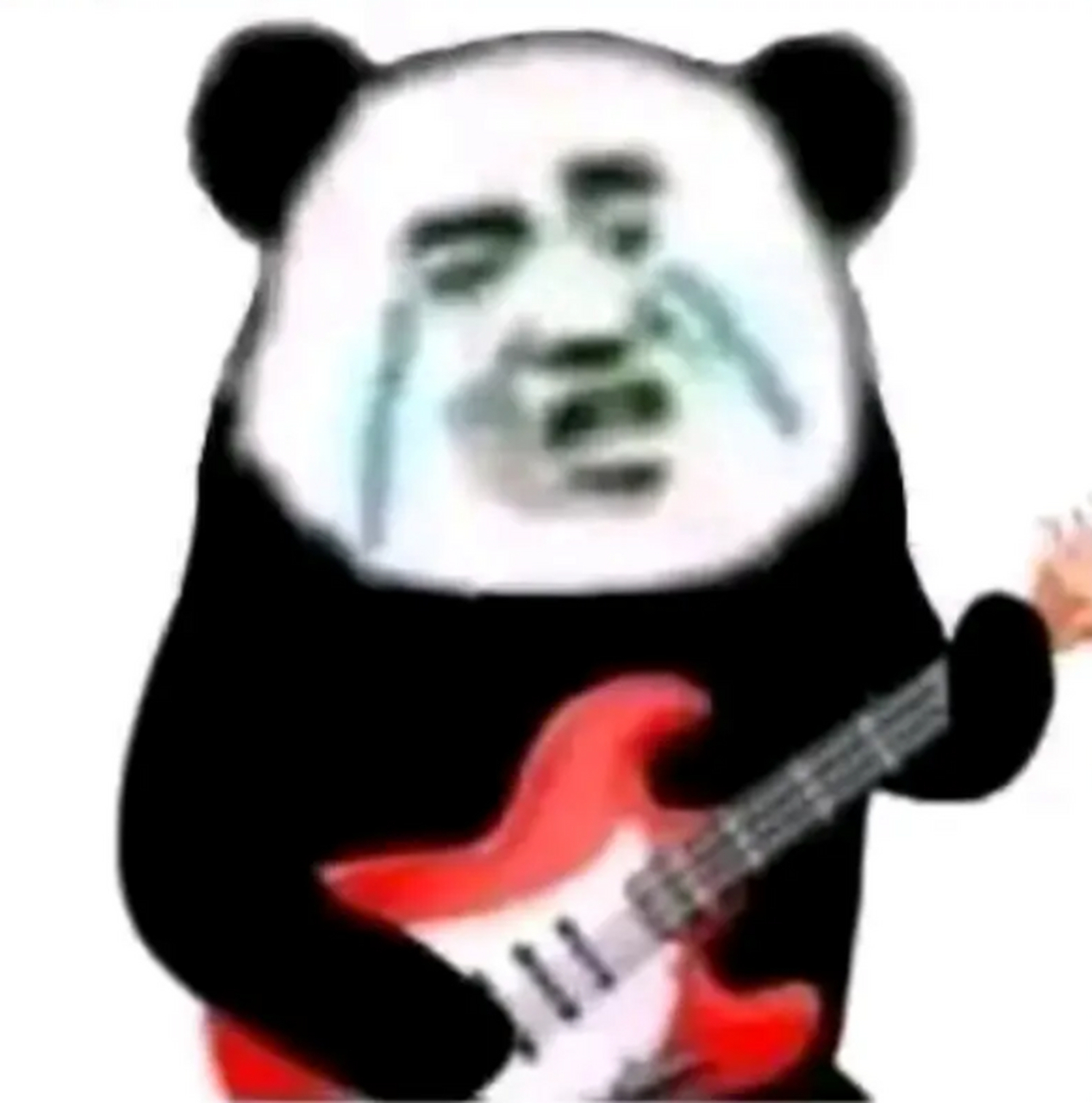 悲伤熊猫流泪弹吉他图片