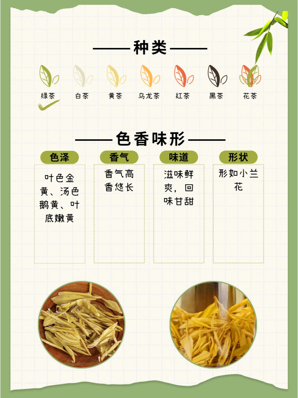 每天一款茶,品味生活  四川名茶系列之广元黄茶,名黄非真黄,产自四川