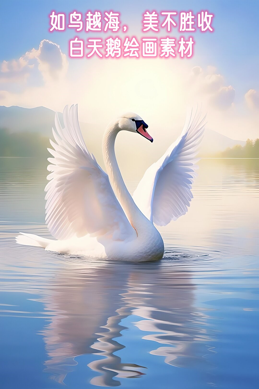 白天鹅绘画素材