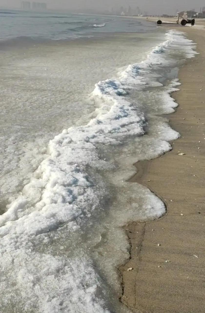 网友:连高盐度的海水都结冰了?那是有多冷啊!