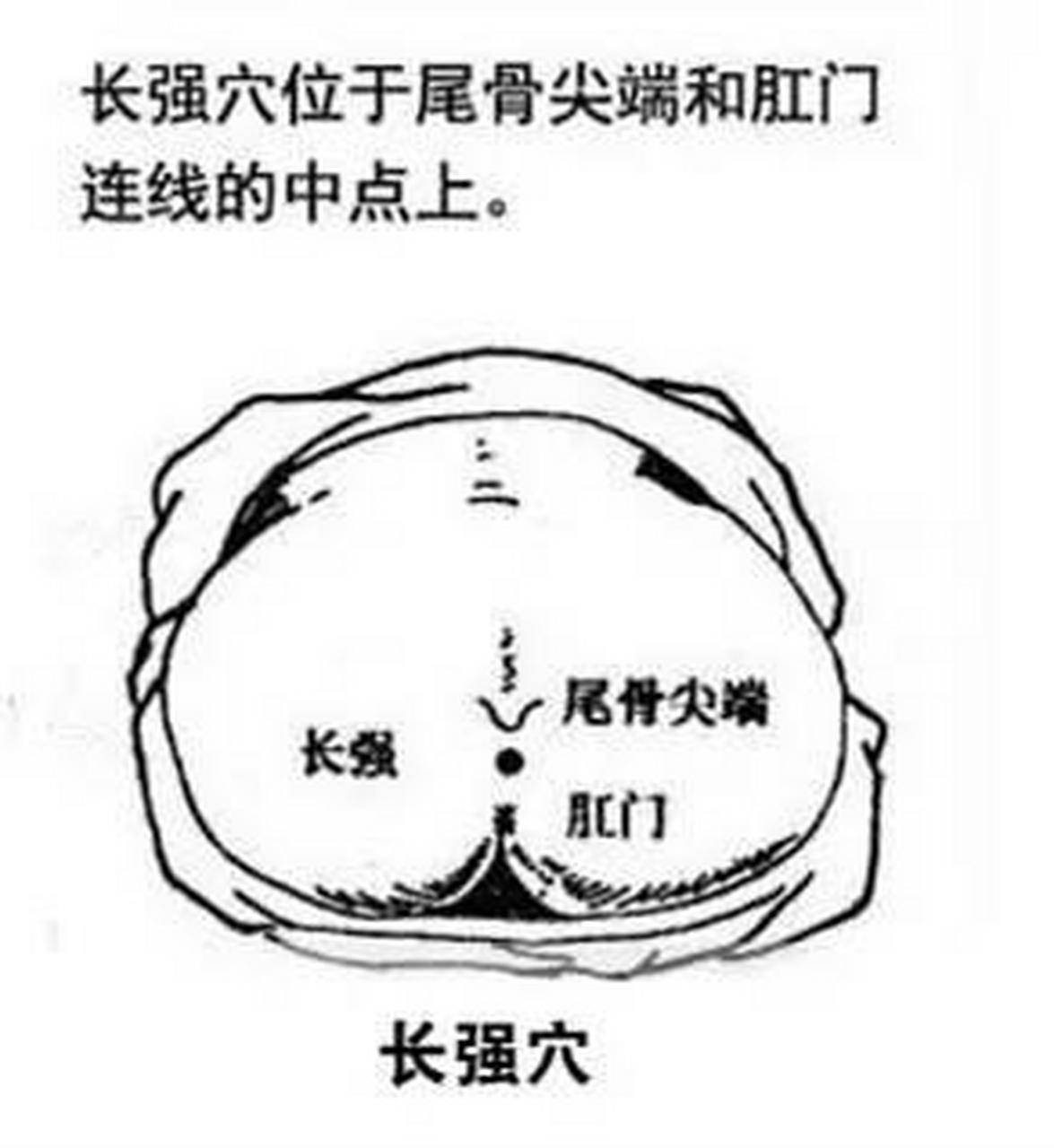 尾骨尖的准确位置图片图片